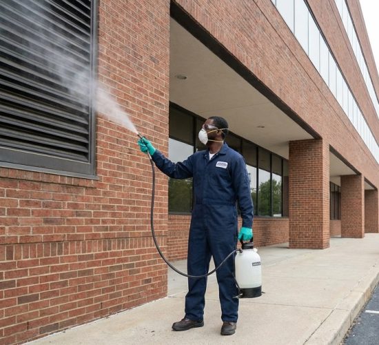 pest control1