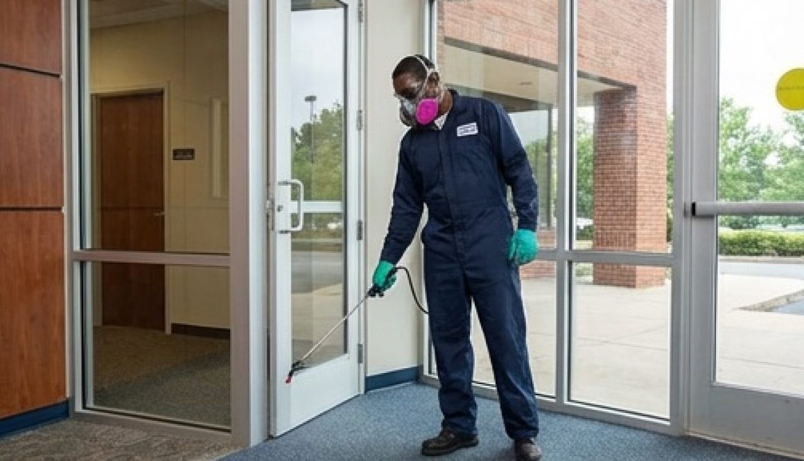 pest control2