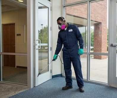 pest control2