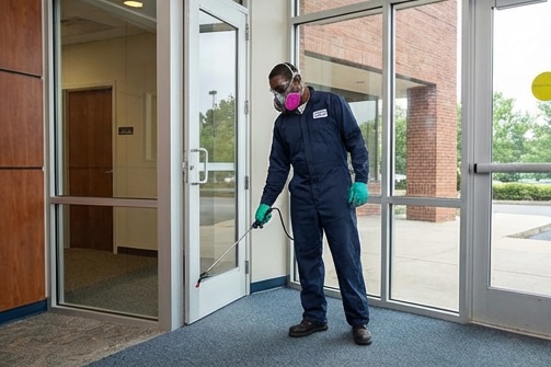 pest control2