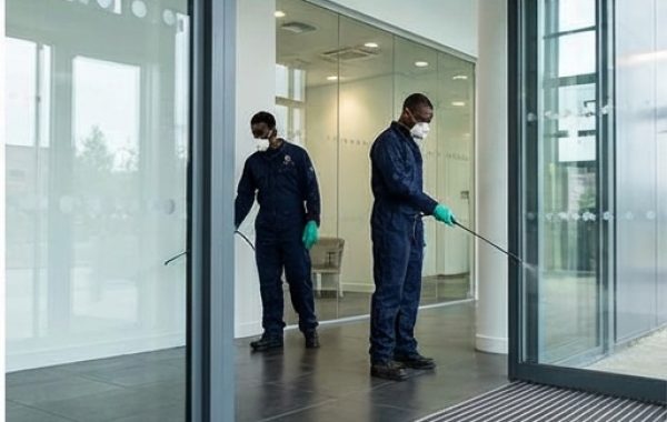 pest control5